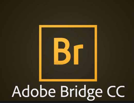 bridge builder 2016 download for mac